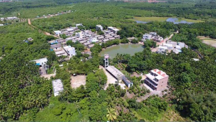 單相流負壓排水技術走進海南馮塘村