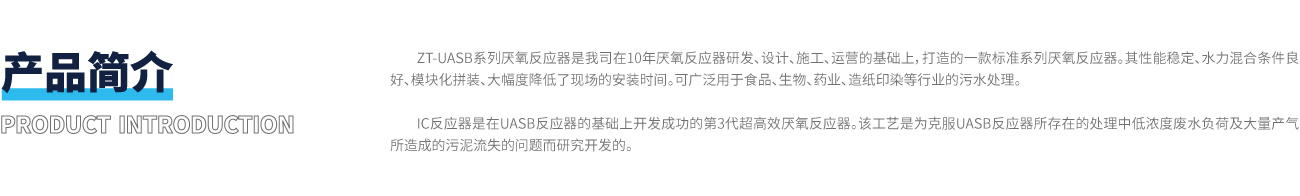 yy1.jpg